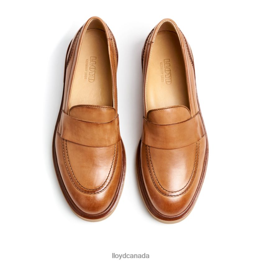 SLIP ON LEATHER SLIPPER LLOYD Women brown R084ZF1115 Shoes