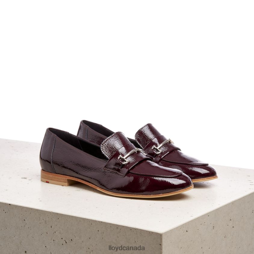 SLIP ON LEATHER SLIPPER LLOYD Women brown R084ZF1130 Shoes