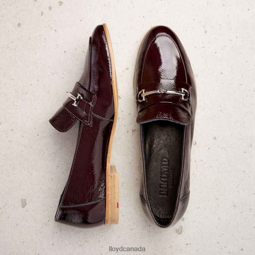SLIP ON LEATHER SLIPPER LLOYD Women brown R084ZF1130 Shoes