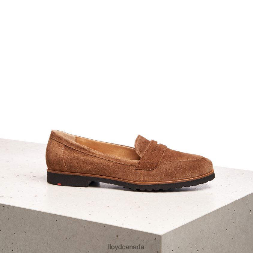 SLIP ON LEATHER SLIPPER LLOYD Women brown R084ZF1148 Shoes