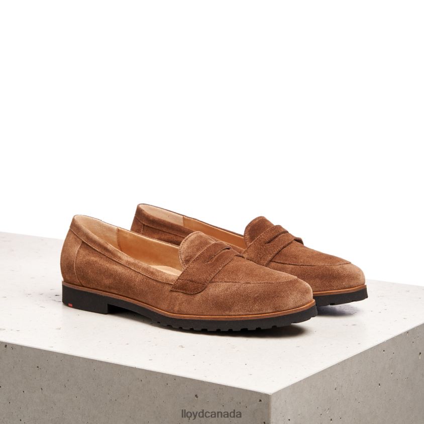 SLIP ON LEATHER SLIPPER LLOYD Women brown R084ZF1148 Shoes