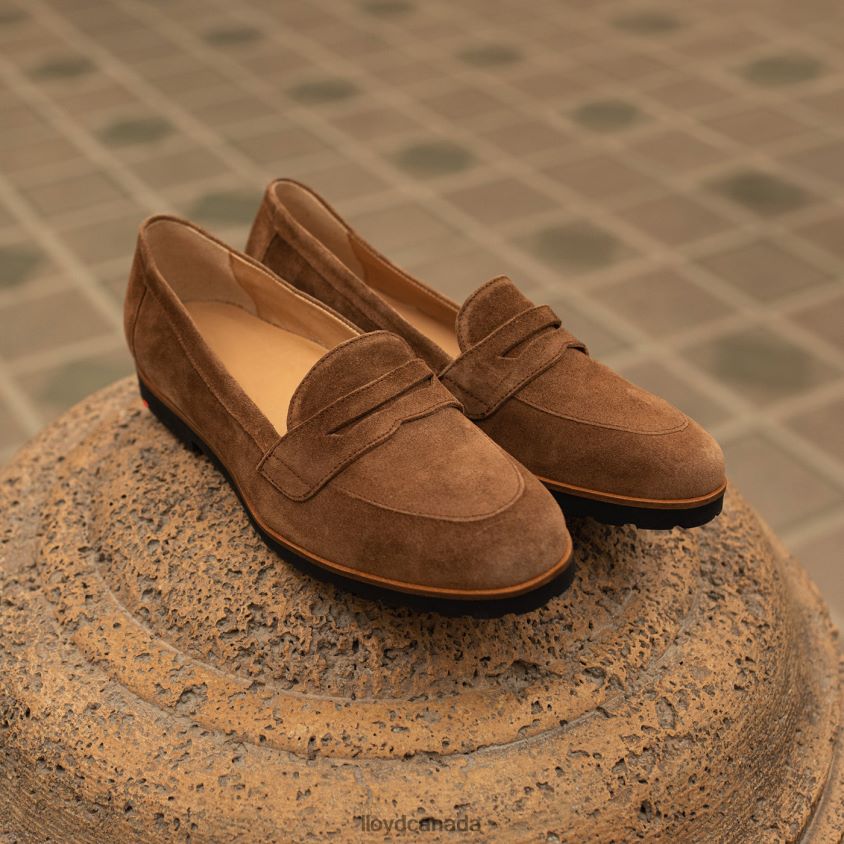 SLIP ON LEATHER SLIPPER LLOYD Women brown R084ZF1148 Shoes