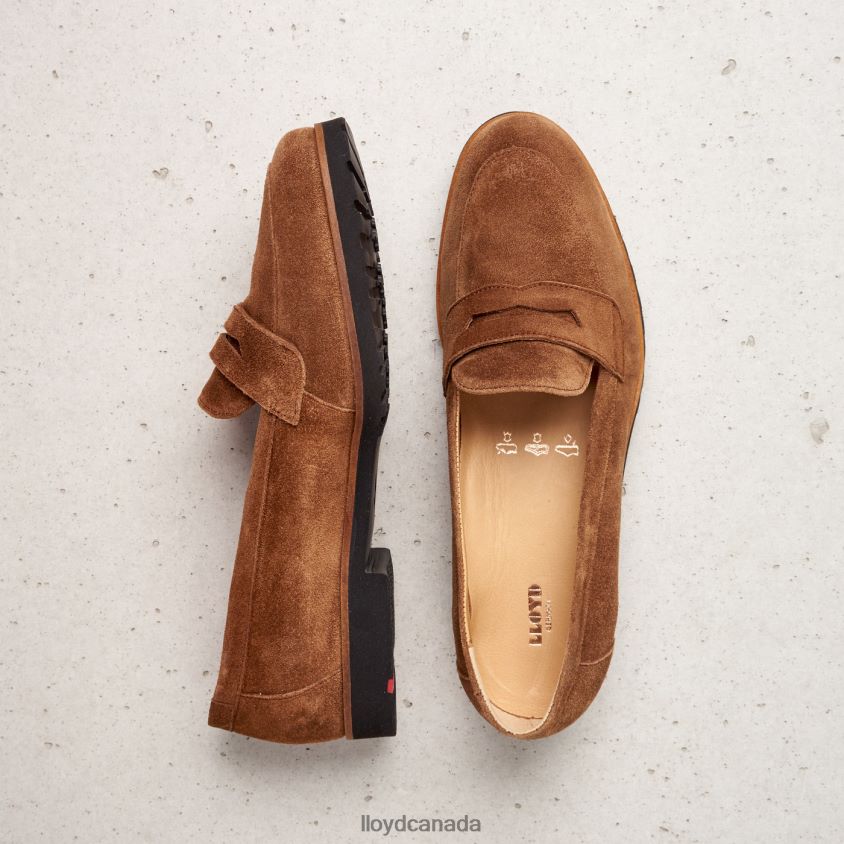 SLIP ON LEATHER SLIPPER LLOYD Women brown R084ZF1148 Shoes