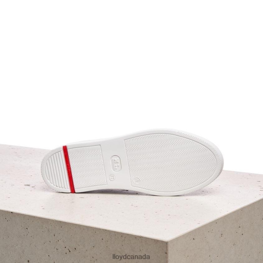 SLIP-ON SLIPPER LLOYD Women beige R084ZF781 Shoes