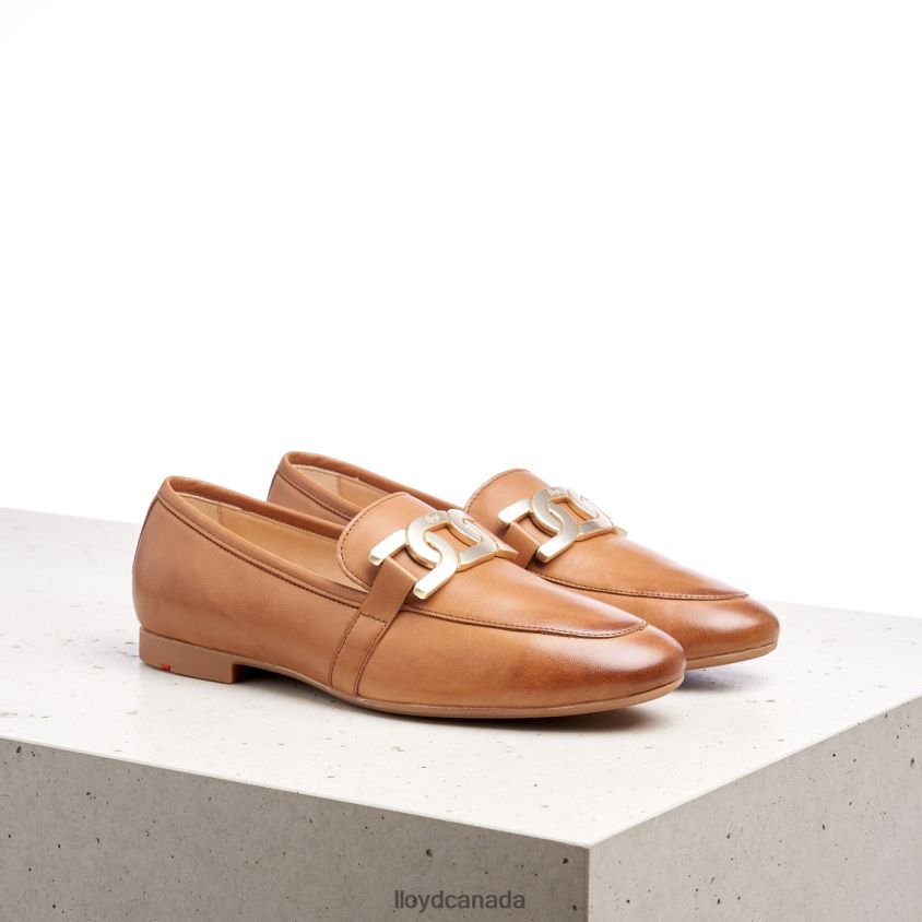 SMOOTH LEATHER SLIPPER LLOYD Women brown R084ZF1040 Shoes