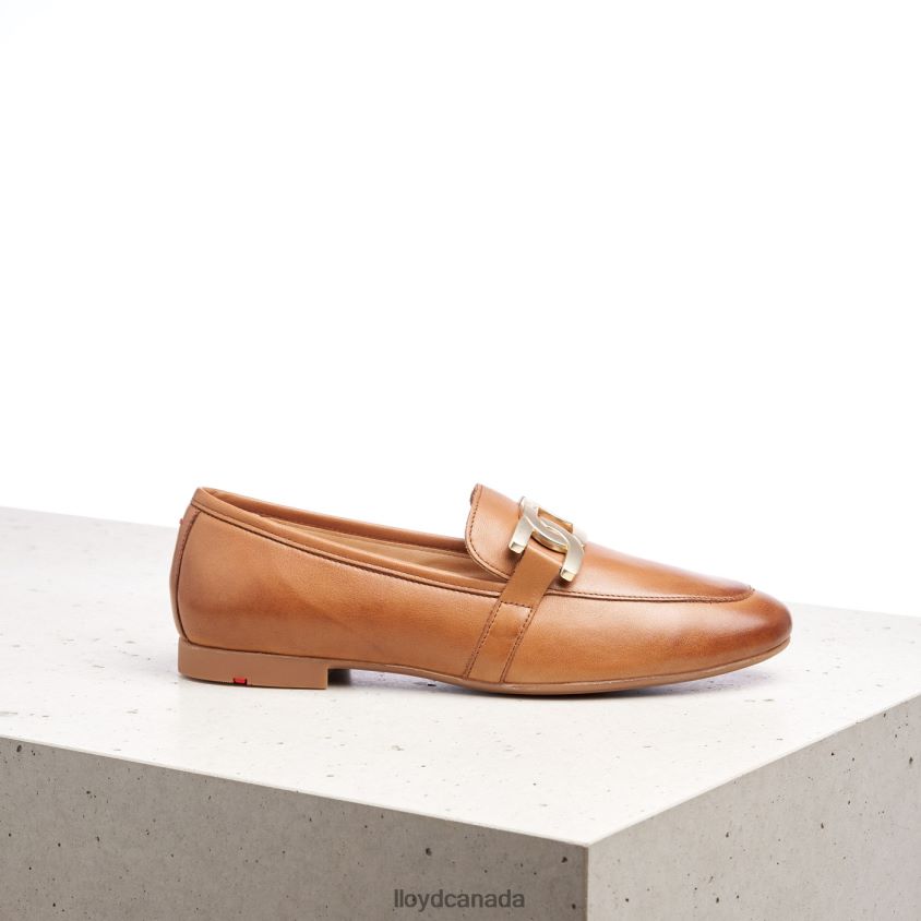 SMOOTH LEATHER SLIPPER LLOYD Women brown R084ZF1040 Shoes