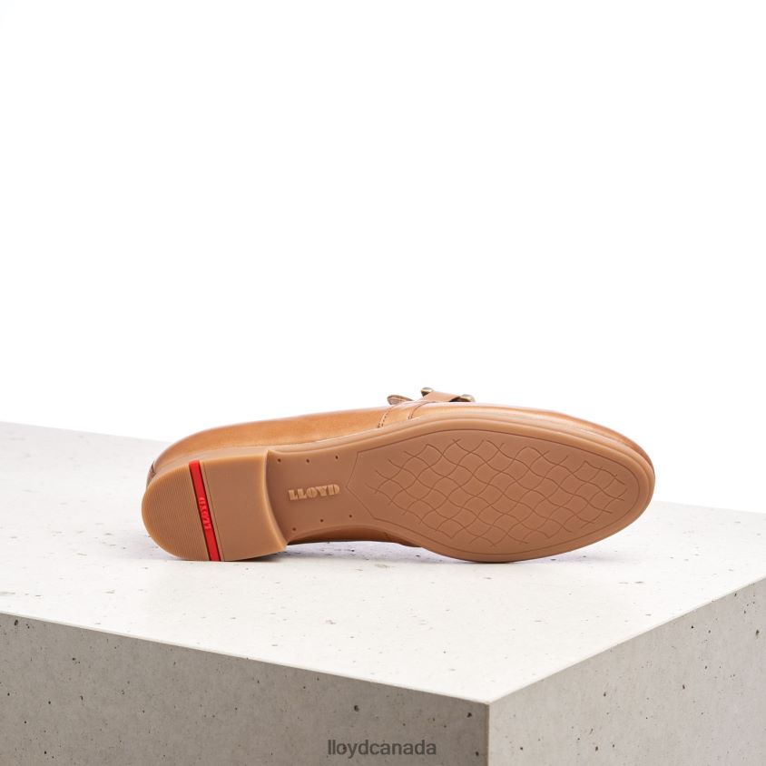 SMOOTH LEATHER SLIPPER LLOYD Women brown R084ZF1040 Shoes