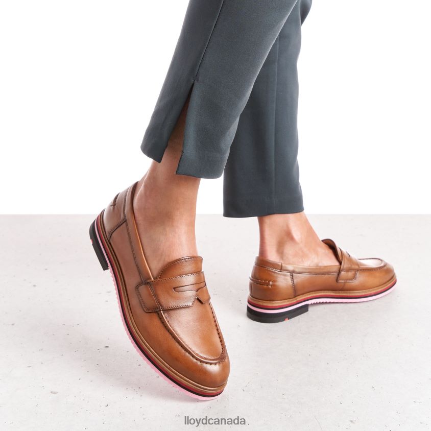 SMOOTH LEATHER SLIPPER LLOYD Women brown R084ZF1045 Shoes
