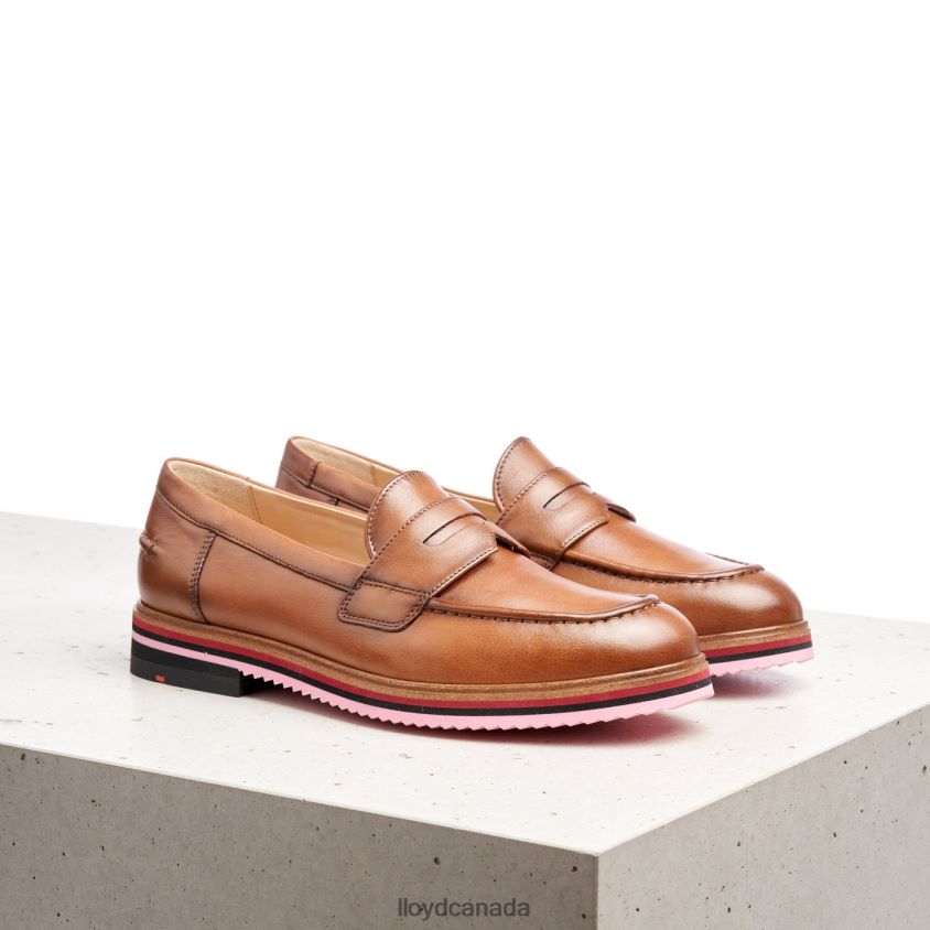SMOOTH LEATHER SLIPPER LLOYD Women brown R084ZF1045 Shoes