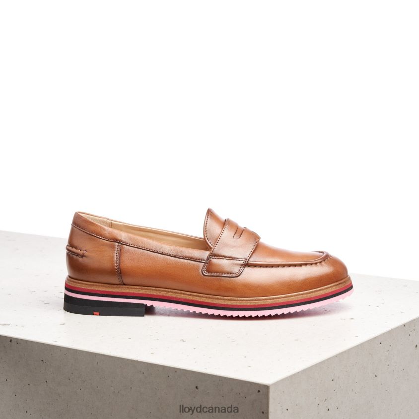 SMOOTH LEATHER SLIPPER LLOYD Women brown R084ZF1045 Shoes