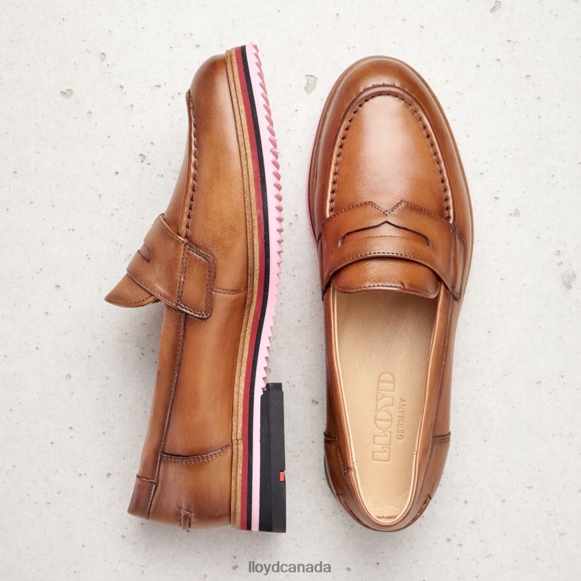 SMOOTH LEATHER SLIPPER LLOYD Women brown R084ZF1045 Shoes