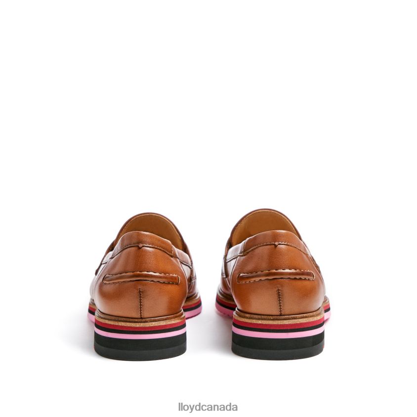 SMOOTH LEATHER SLIPPER LLOYD Women brown R084ZF1045 Shoes