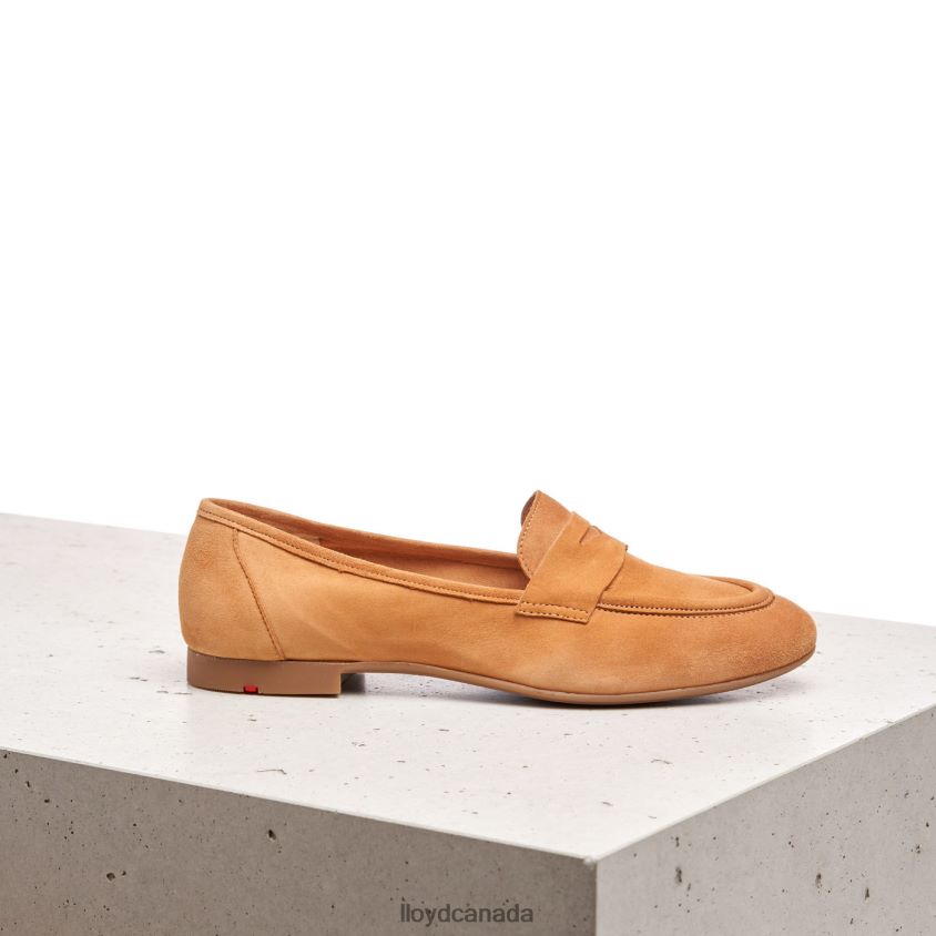 SUEDE SLIPPER LLOYD Women brown R084ZF1136 Shoes