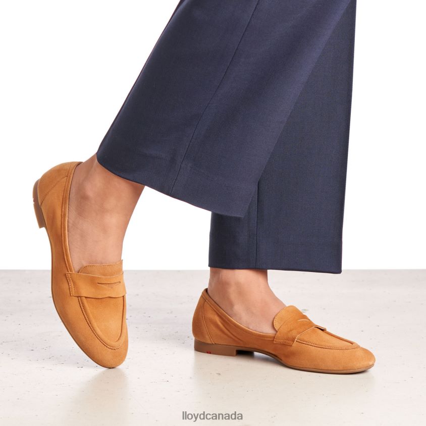 SUEDE SLIPPER LLOYD Women brown R084ZF1136 Shoes