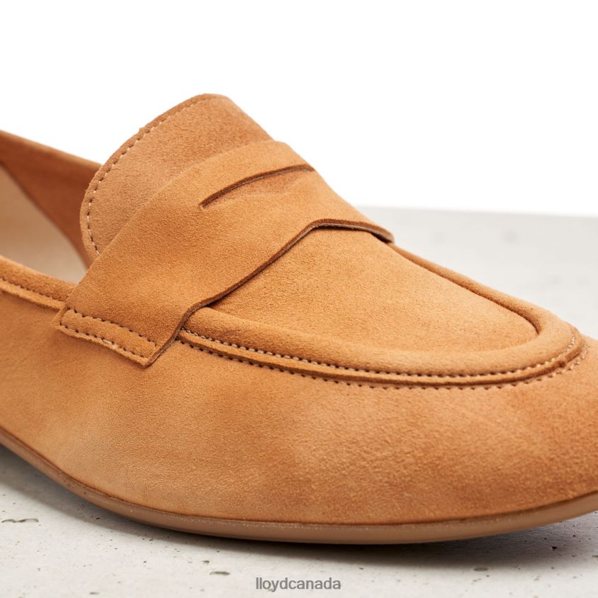 SUEDE SLIPPER LLOYD Women brown R084ZF1136 Shoes