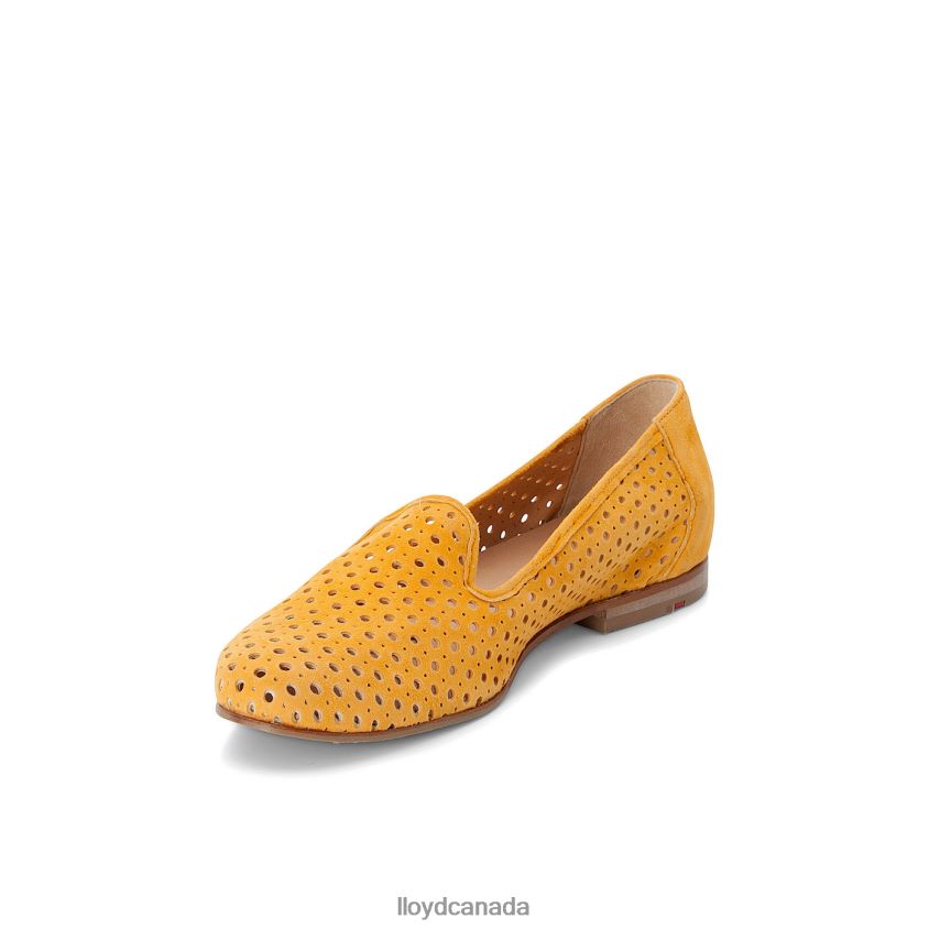 SUEDE SLIPPER LLOYD Women yellow R084ZF1149 Shoes