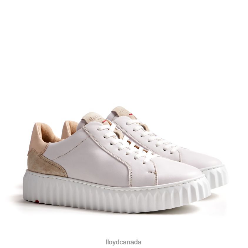 CASUAL SNEAKER LLOYD Women white R084ZF766 Shoes