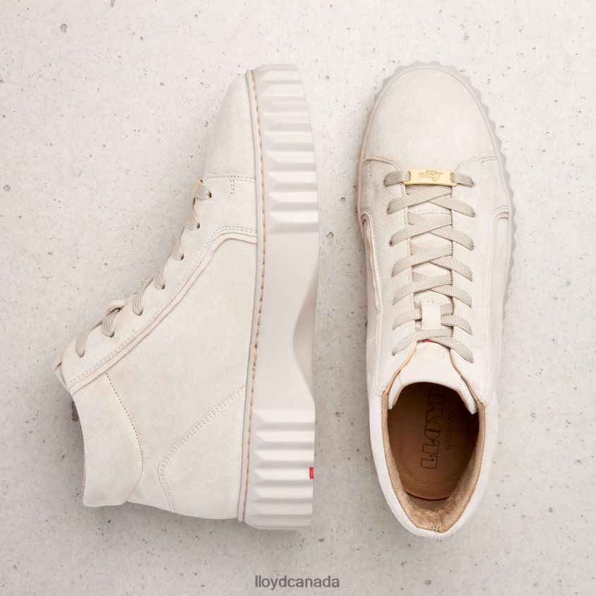 HIGH TOP SNEAKERS LLOYD Women beige R084ZF770 Shoes