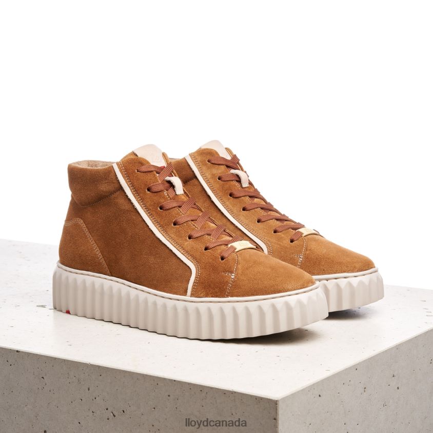HIGH TOP SNEAKERS LLOYD Women brown R084ZF771 Shoes
