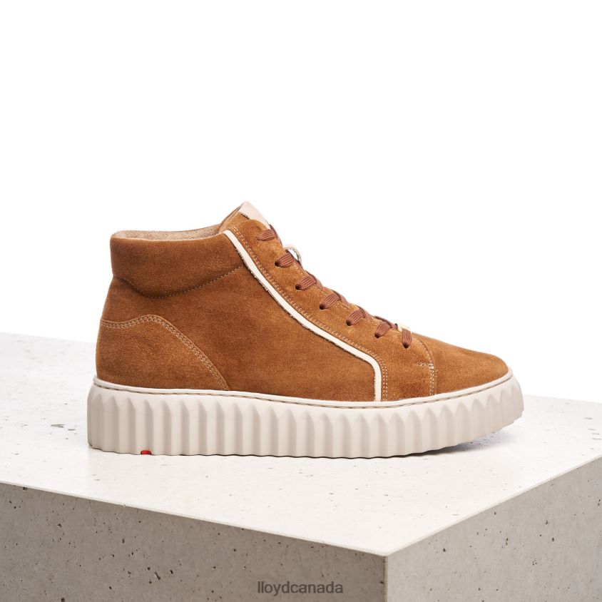 HIGH TOP SNEAKERS LLOYD Women brown R084ZF771 Shoes