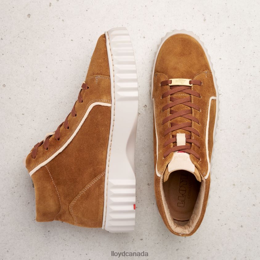 HIGH TOP SNEAKERS LLOYD Women brown R084ZF771 Shoes