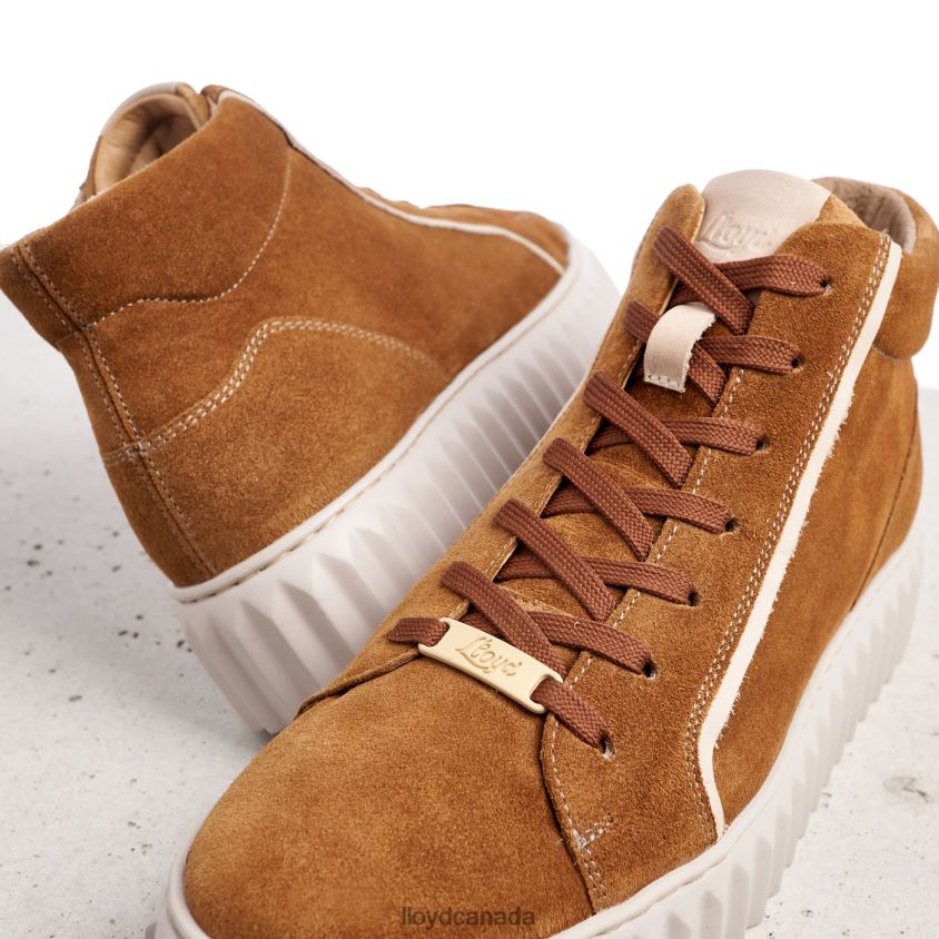 HIGH TOP SNEAKERS LLOYD Women brown R084ZF771 Shoes