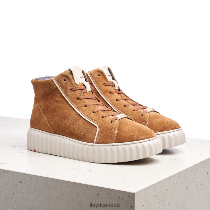 HIGH TOP SNEAKERS LLOYD Women brown R084ZF777 Shoes