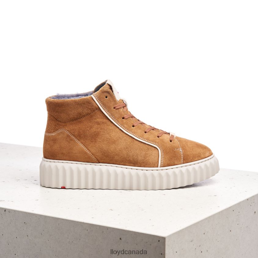 HIGH TOP SNEAKERS LLOYD Women brown R084ZF777 Shoes