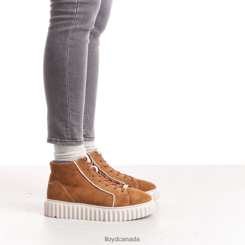 HIGH TOP SNEAKERS LLOYD Women brown R084ZF777 Shoes