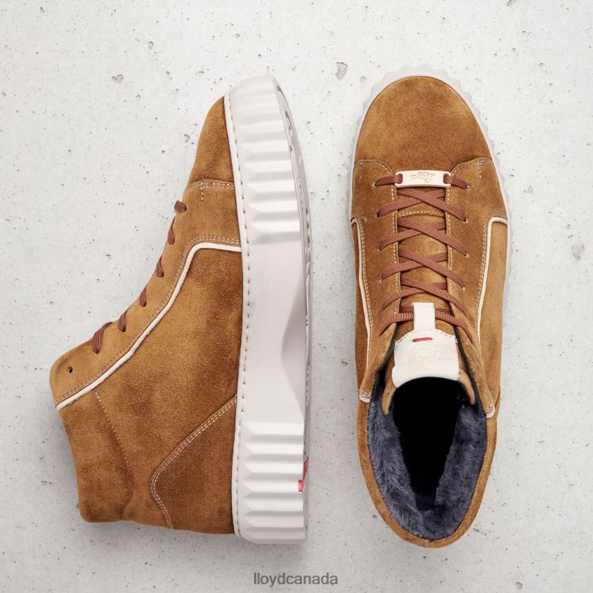 HIGH TOP SNEAKERS LLOYD Women brown R084ZF777 Shoes