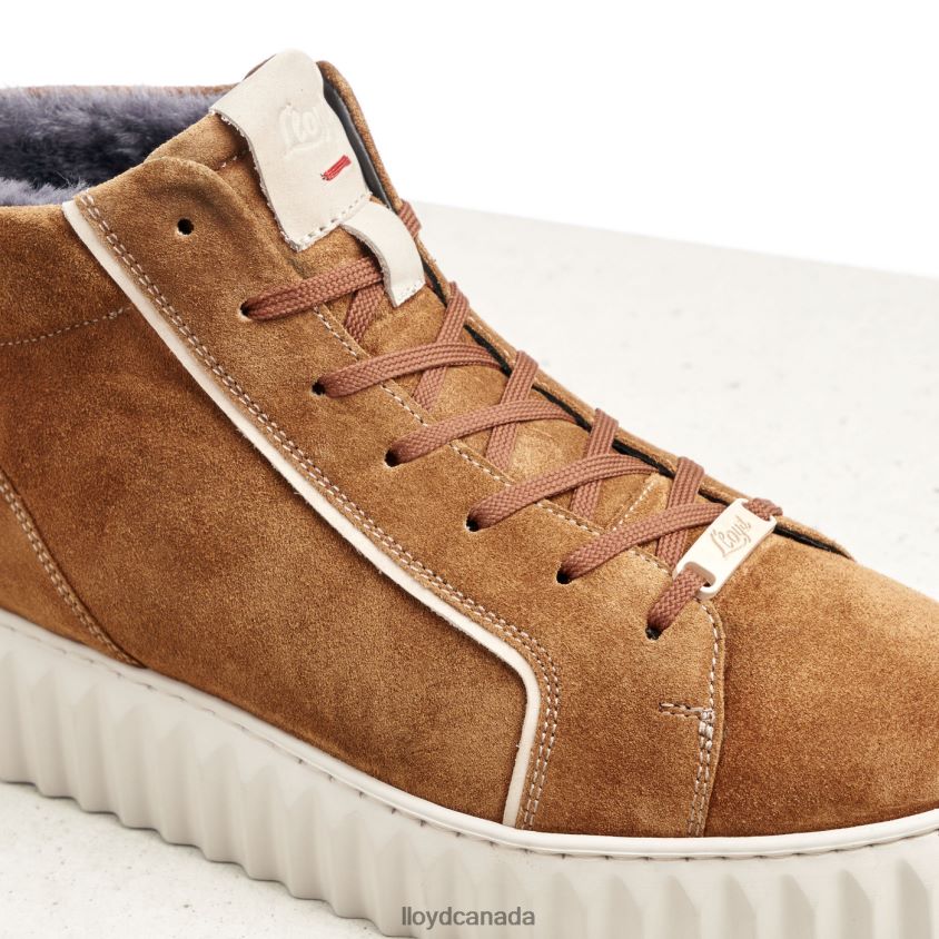 HIGH TOP SNEAKERS LLOYD Women brown R084ZF777 Shoes