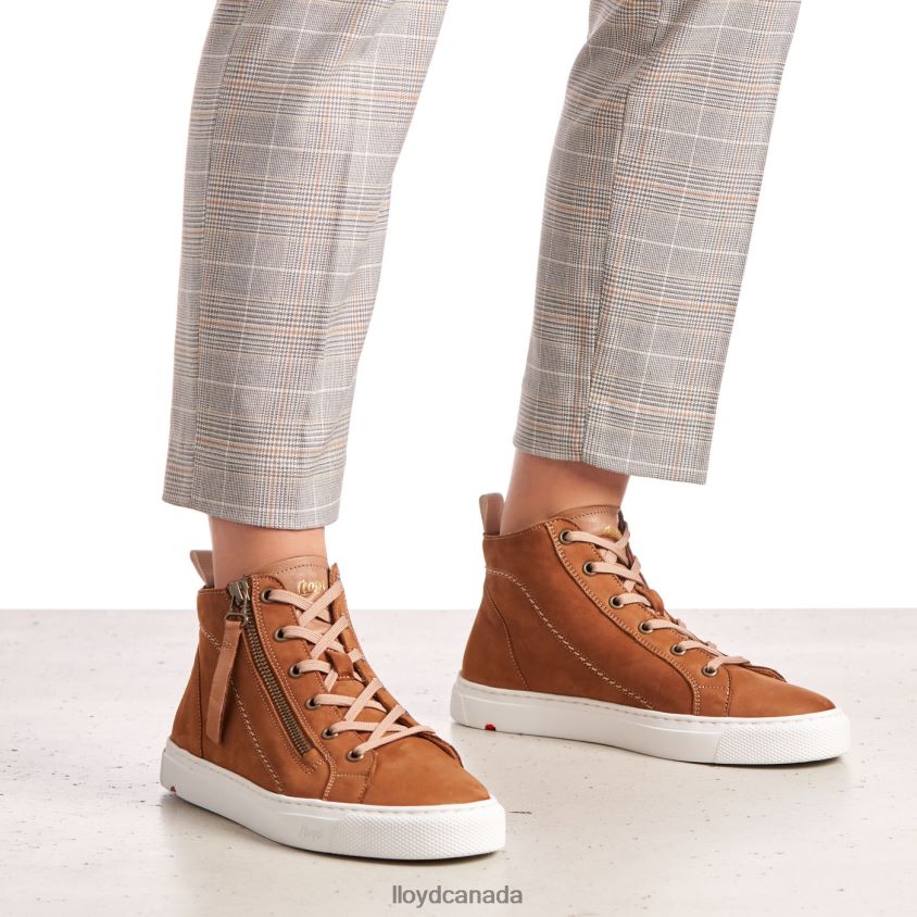 HIGH TOP SNEAKERS LLOYD Women brown R084ZF859 Shoes