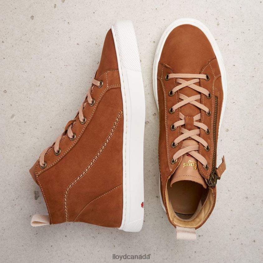 HIGH TOP SNEAKERS LLOYD Women brown R084ZF859 Shoes