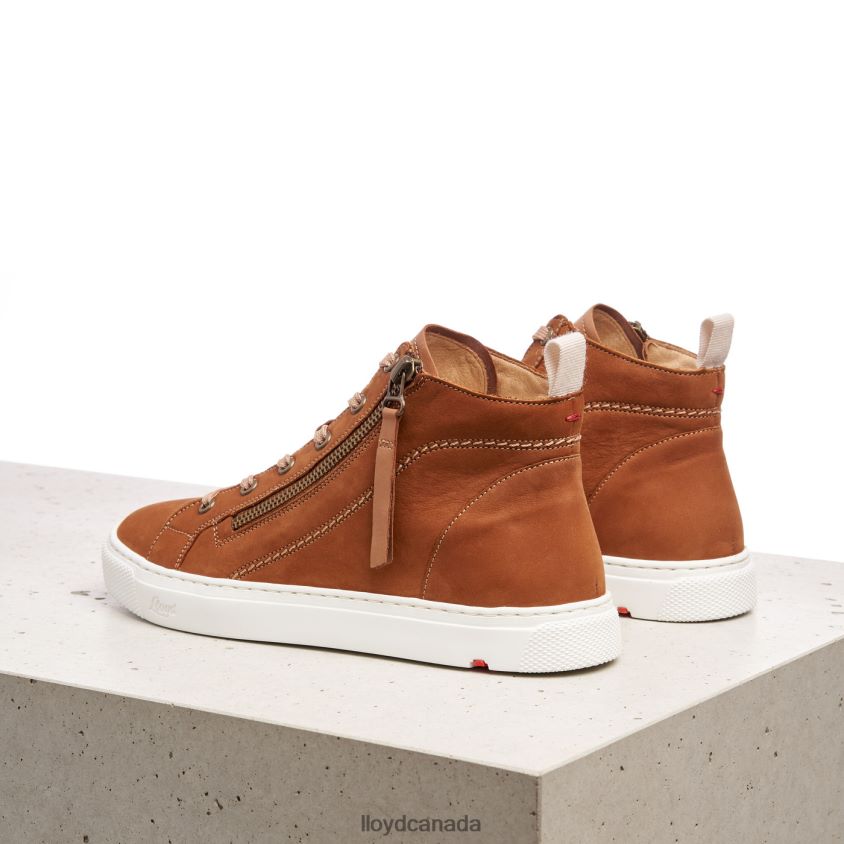 HIGH TOP SNEAKERS LLOYD Women brown R084ZF859 Shoes