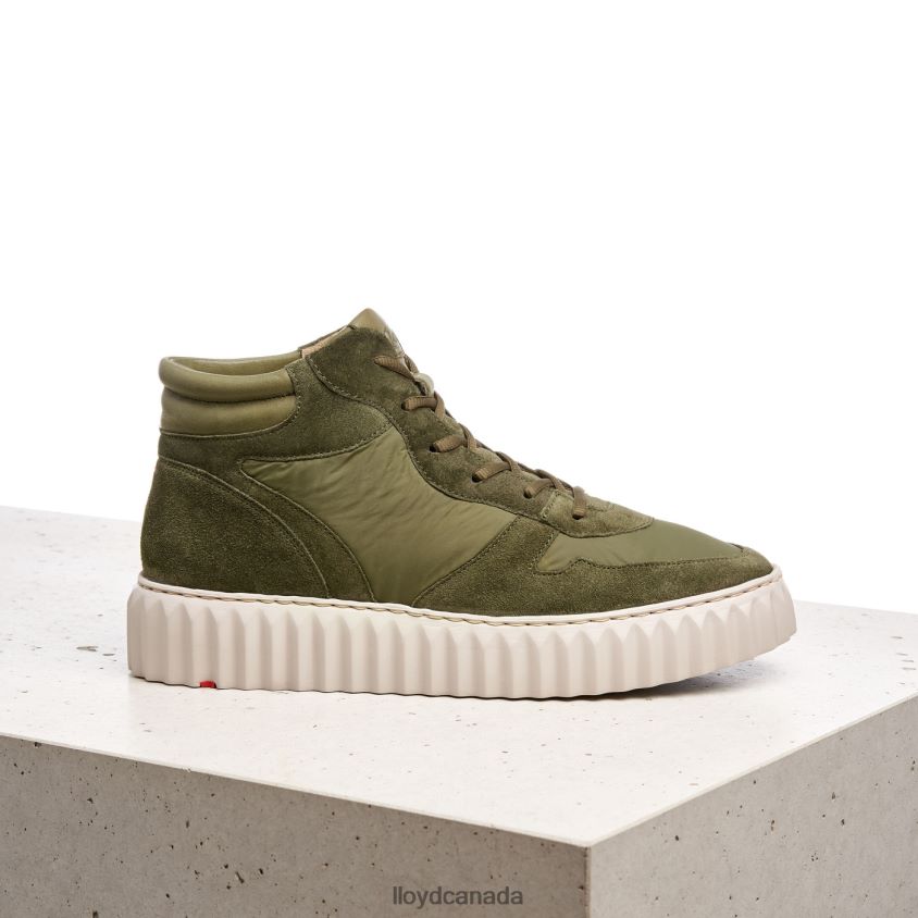 HIGH TOP SNEAKERS LLOYD Women green R084ZF769 Shoes
