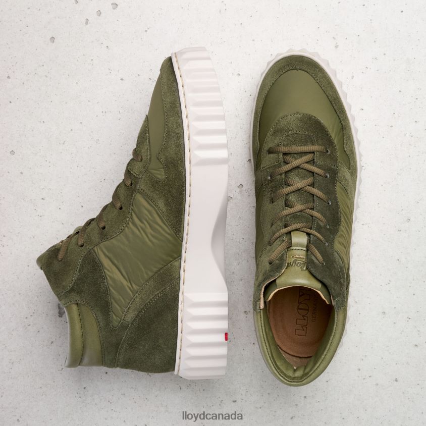HIGH TOP SNEAKERS LLOYD Women green R084ZF769 Shoes