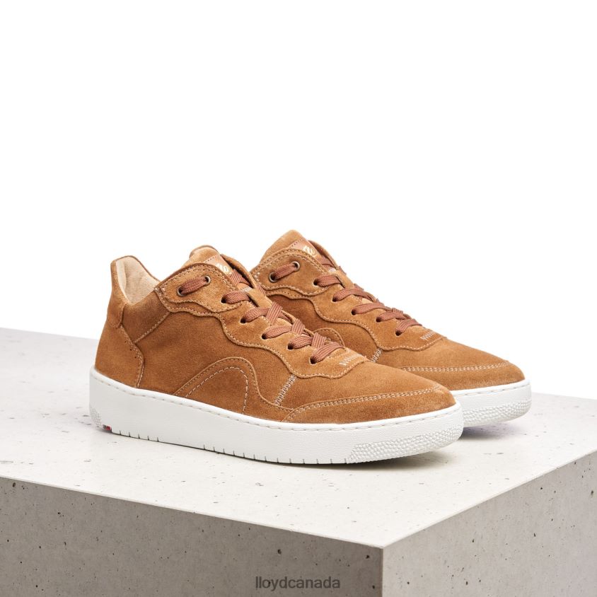 LEATHER LOW TOP SNEAKERS LLOYD Women brown R084ZF782 Shoes