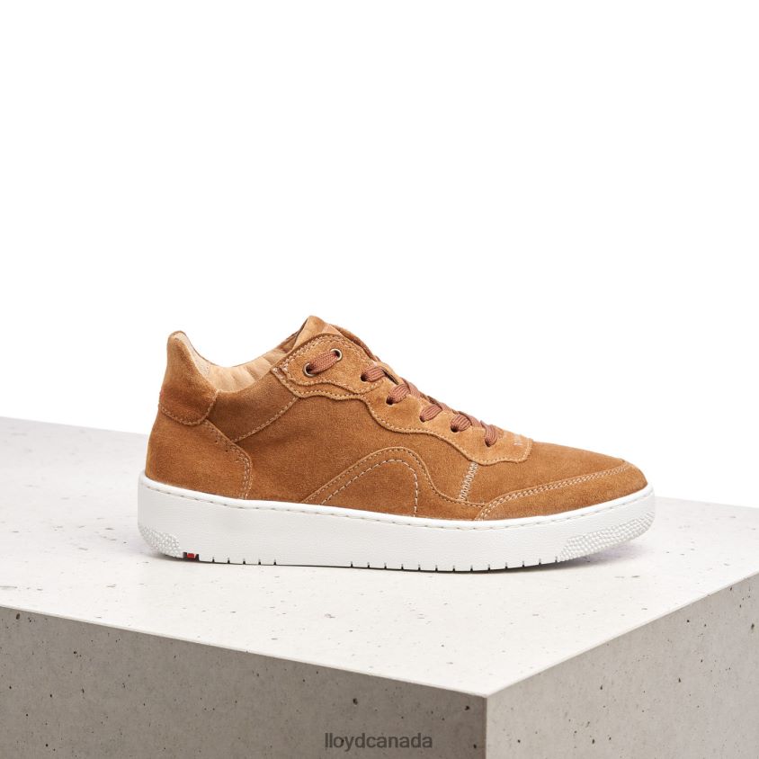 LEATHER LOW TOP SNEAKERS LLOYD Women brown R084ZF782 Shoes