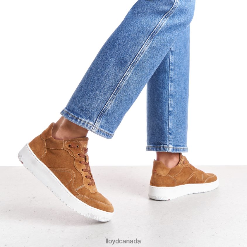LEATHER LOW TOP SNEAKERS LLOYD Women brown R084ZF782 Shoes