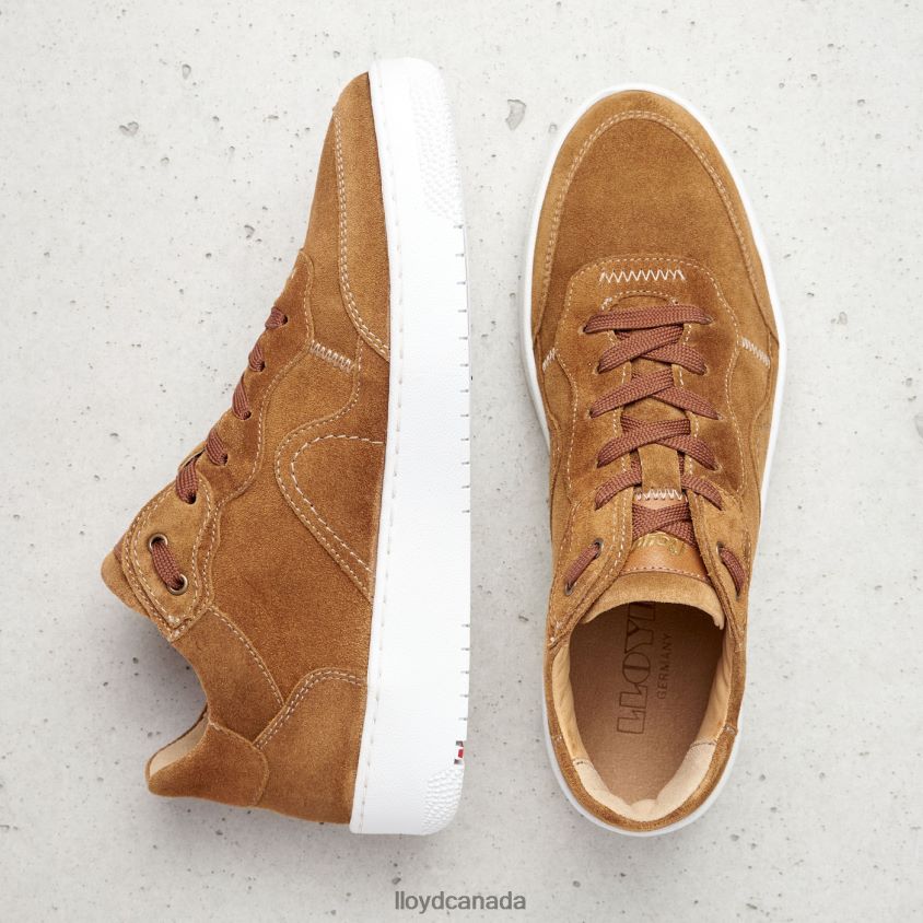 LEATHER LOW TOP SNEAKERS LLOYD Women brown R084ZF782 Shoes