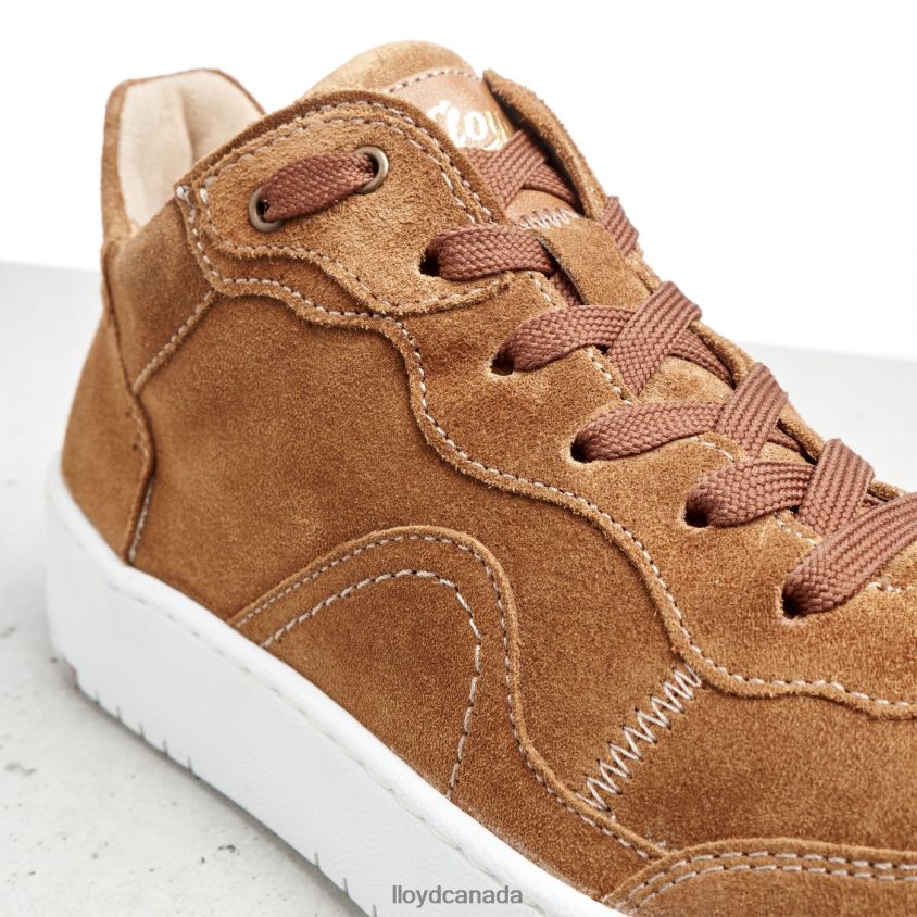LEATHER LOW TOP SNEAKERS LLOYD Women brown R084ZF782 Shoes