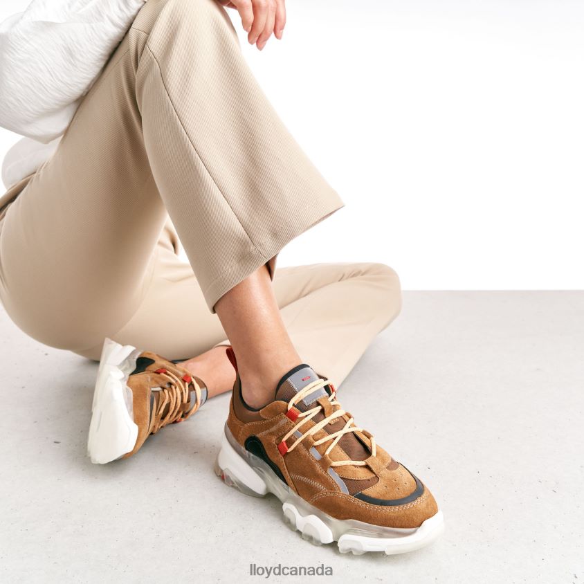 LEATHER LOW TOP SNEAKERS LLOYD Women brown R084ZF787 Shoes