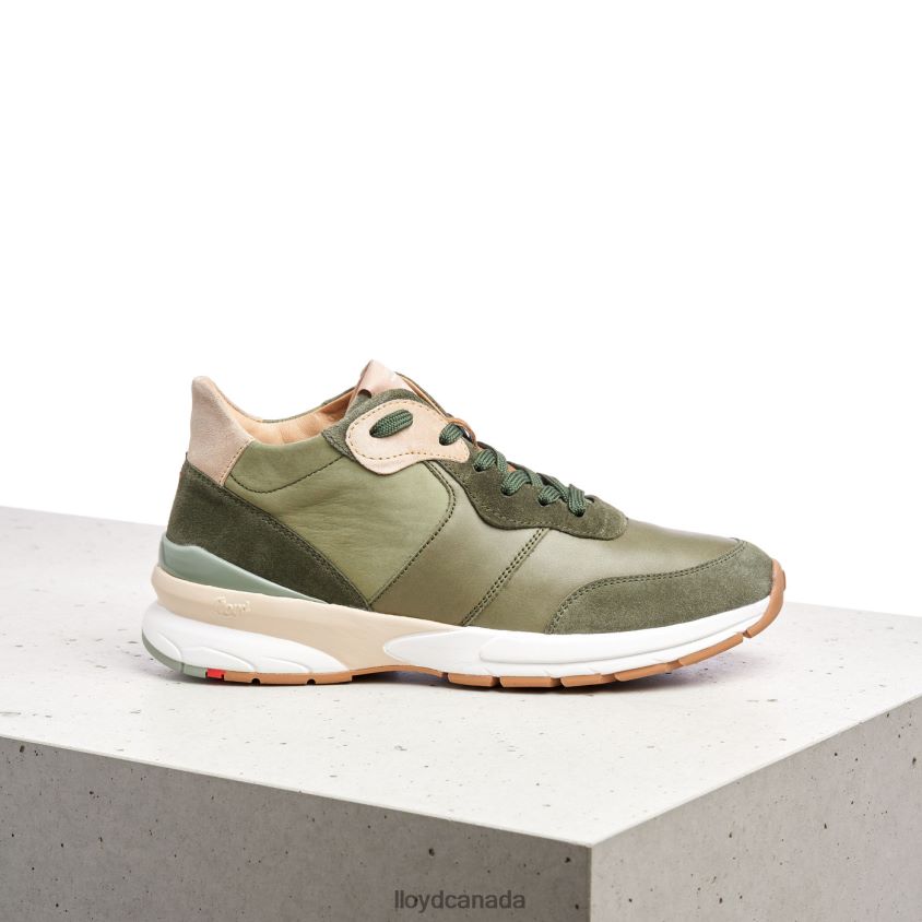 LEATHER LOW TOP SNEAKERS LLOYD Women green R084ZF767 Shoes