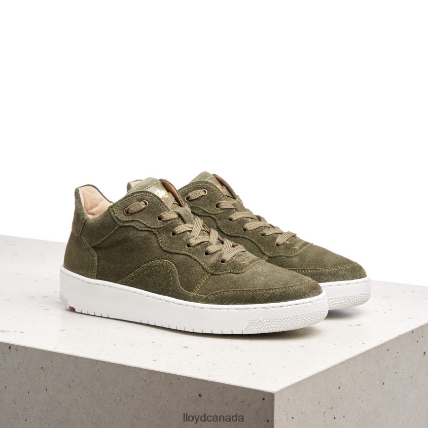 LEATHER LOW TOP SNEAKERS LLOYD Women green R084ZF768 Shoes