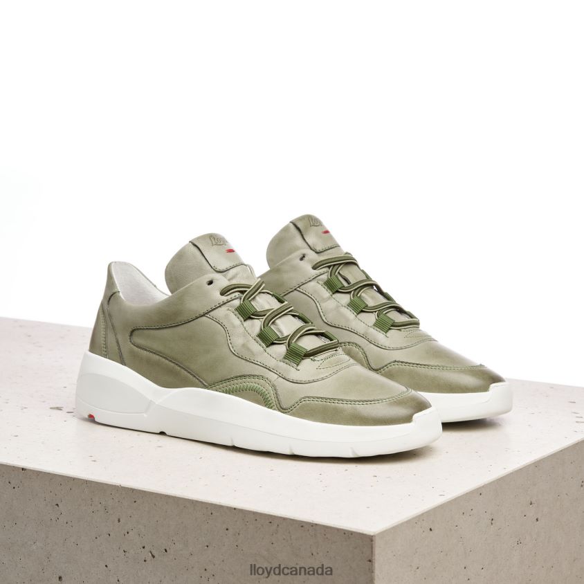 LOW TOP LEATHER SNEAKERS LLOYD Women green R084ZF830 Shoes