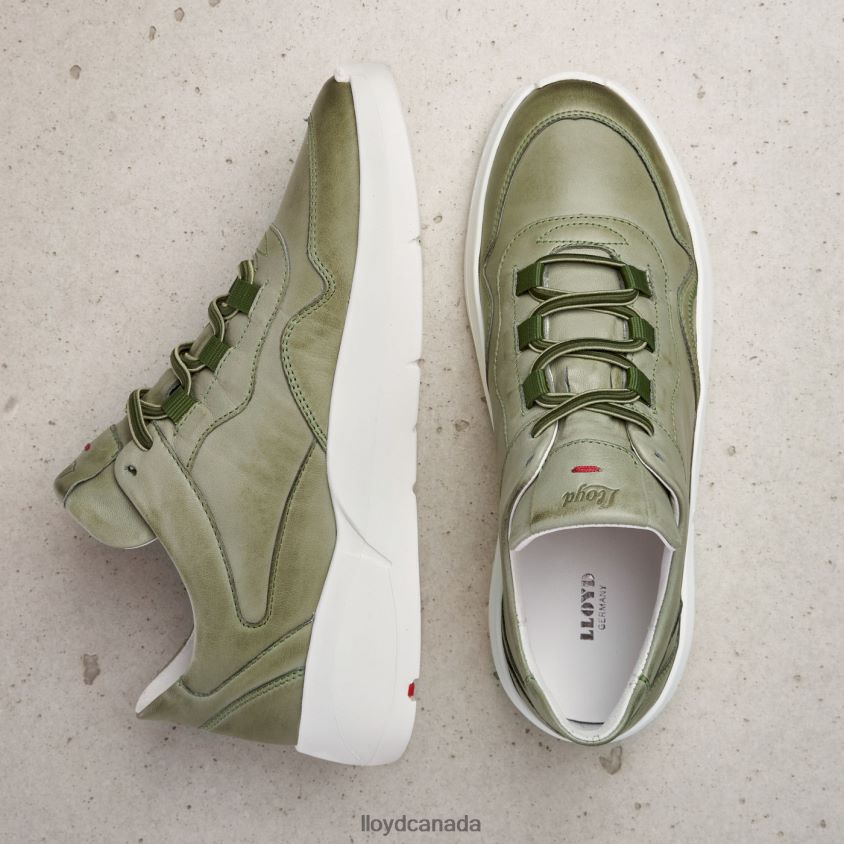 LOW TOP LEATHER SNEAKERS LLOYD Women green R084ZF830 Shoes