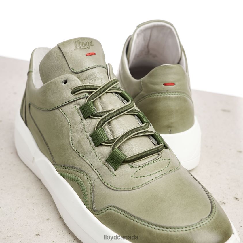 LOW TOP LEATHER SNEAKERS LLOYD Women green R084ZF830 Shoes