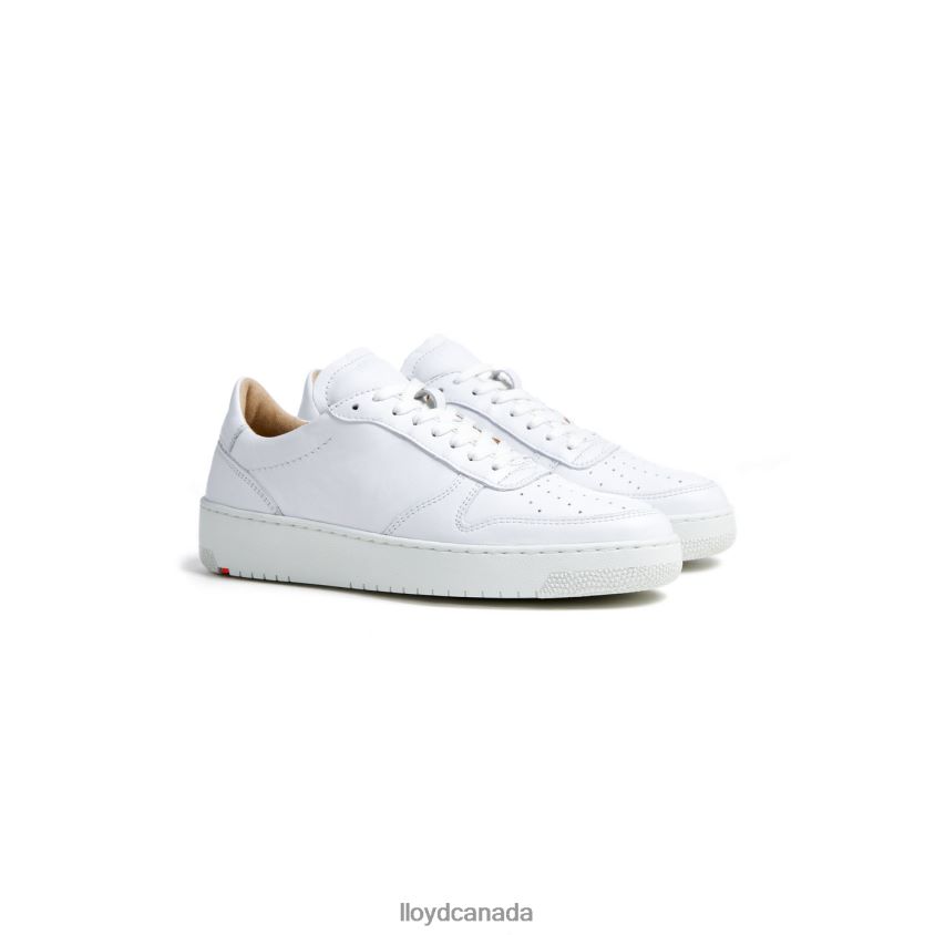 LOW TOP LEATHER SNEAKERS LLOYD Women white R084ZF765 Shoes