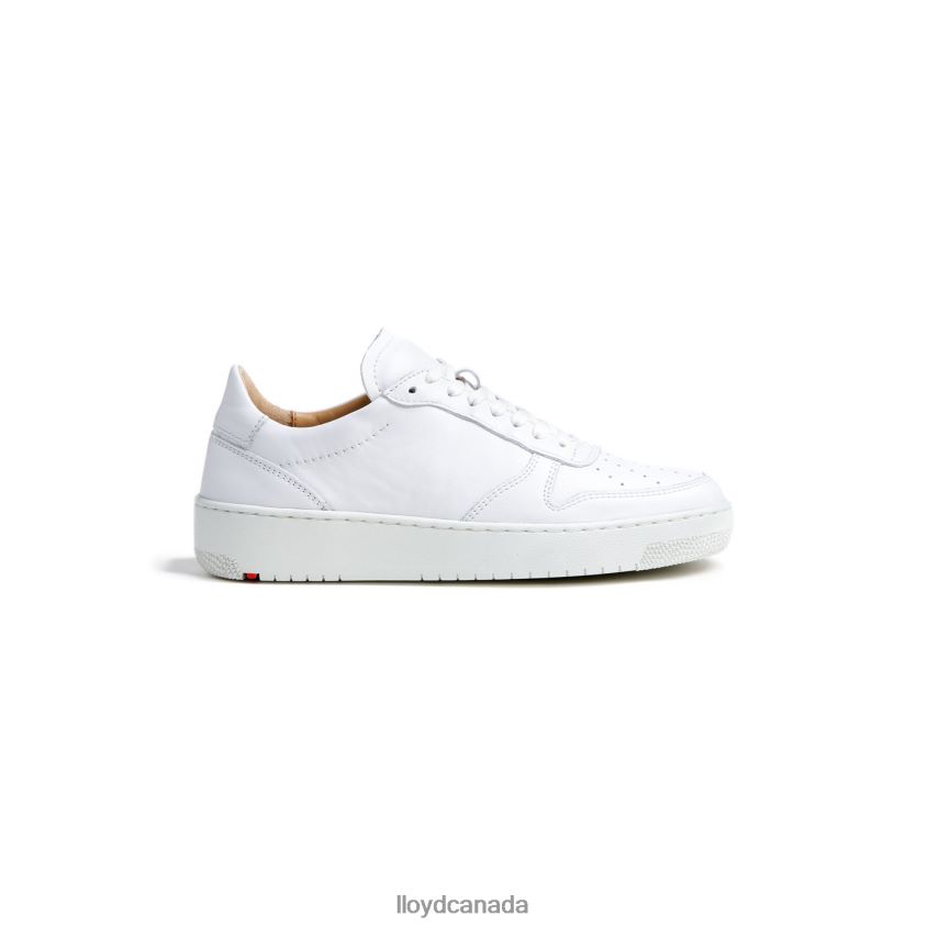 LOW TOP LEATHER SNEAKERS LLOYD Women white R084ZF765 Shoes