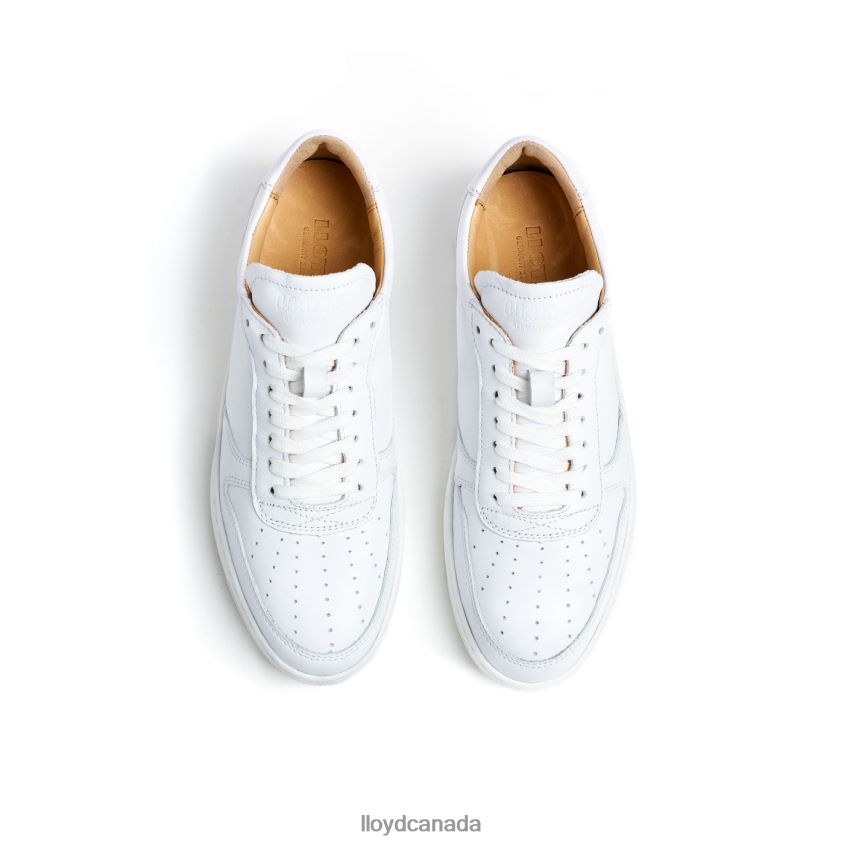 LOW TOP LEATHER SNEAKERS LLOYD Women white R084ZF765 Shoes